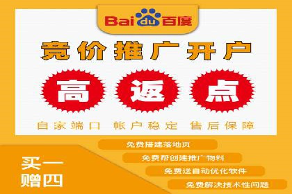 SEM服务案例：打造行业领先品牌